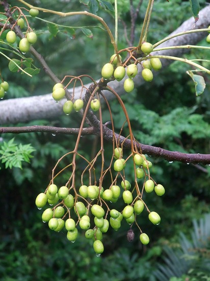 blog_import_4f6875b81eeb9