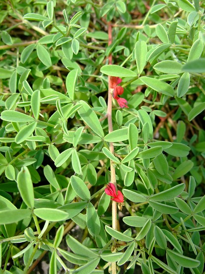 blog_import_4f6876a664dec