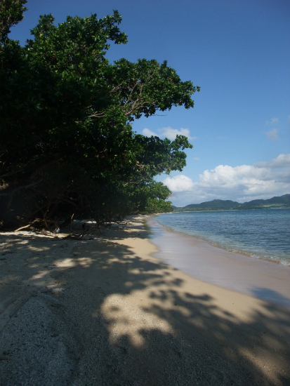 blog_import_4f687d668fa98