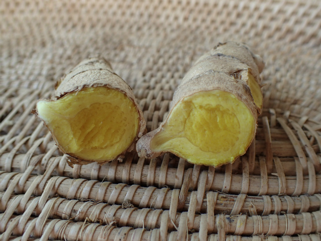 scopy20180516_165700_07