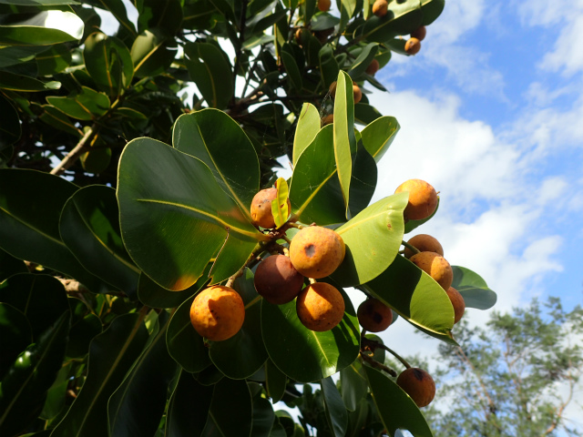 scopy20181020_162128_03