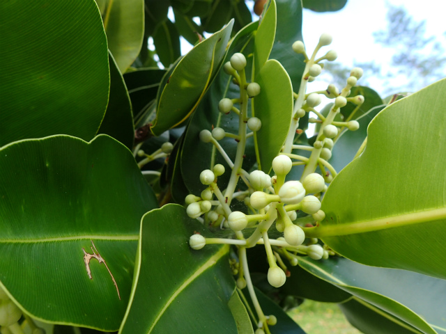 scopy20181020_162743_04