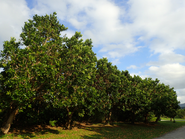 scopy20181020_163915_07