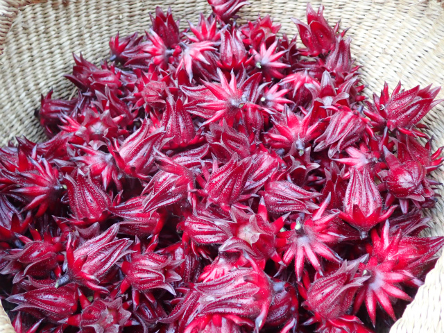 scopy20181124_173055_06