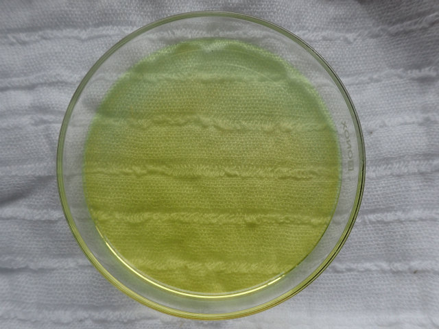 scopy20191207_100718_02