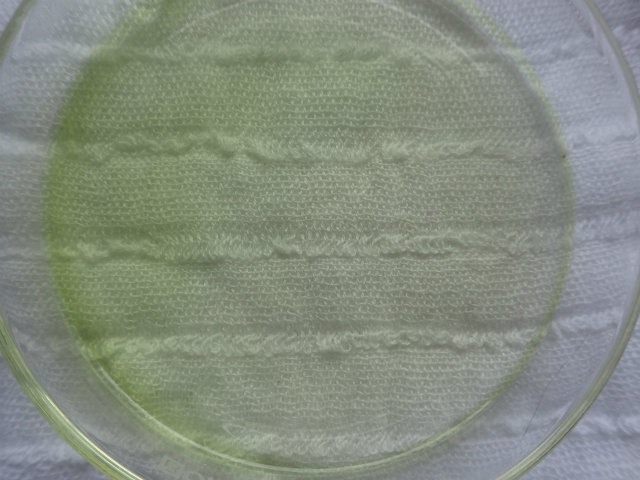 scopy20191207_100853_03